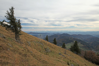 Naturschutzgebiet Belchen